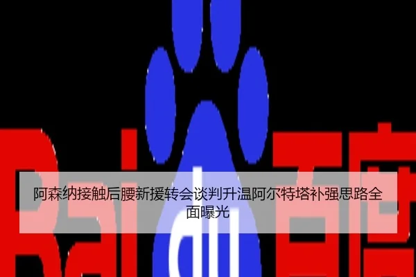 阿森纳接触后腰新援转会谈判升温阿尔特塔补强思路全面曝光